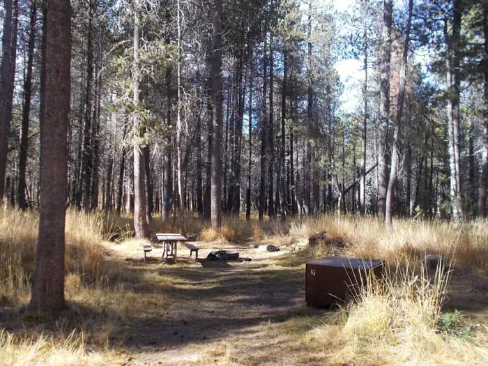 Bridalveil Creek Campground