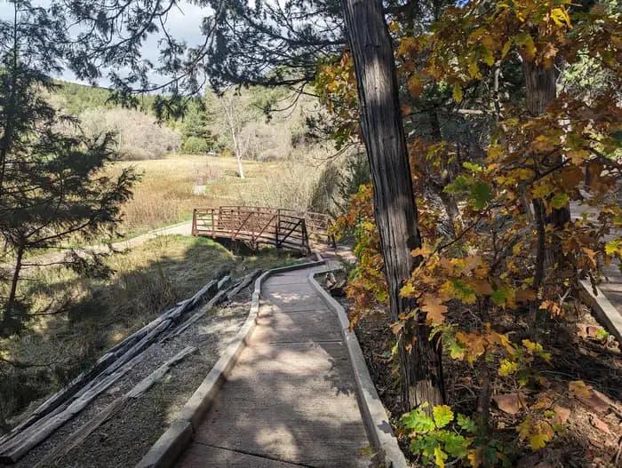 CIENEGA PICNIC SITE