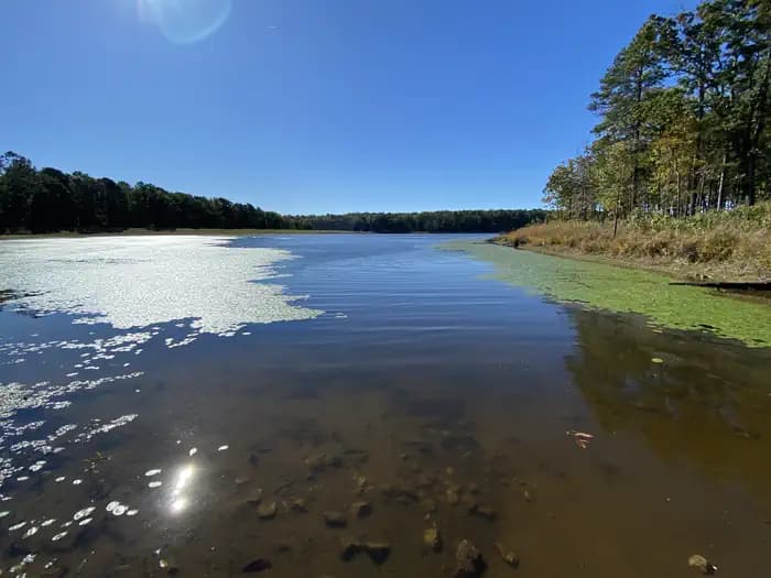 PINEWOODS LAKE REC AREA