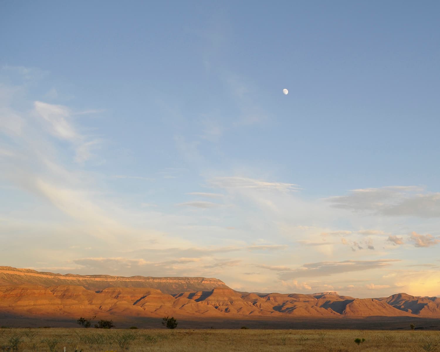 Grand Wash Cliffs Wilderness Area