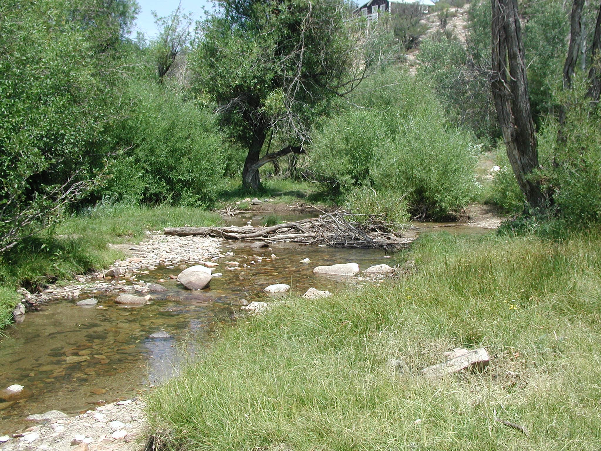 Silver City Campground