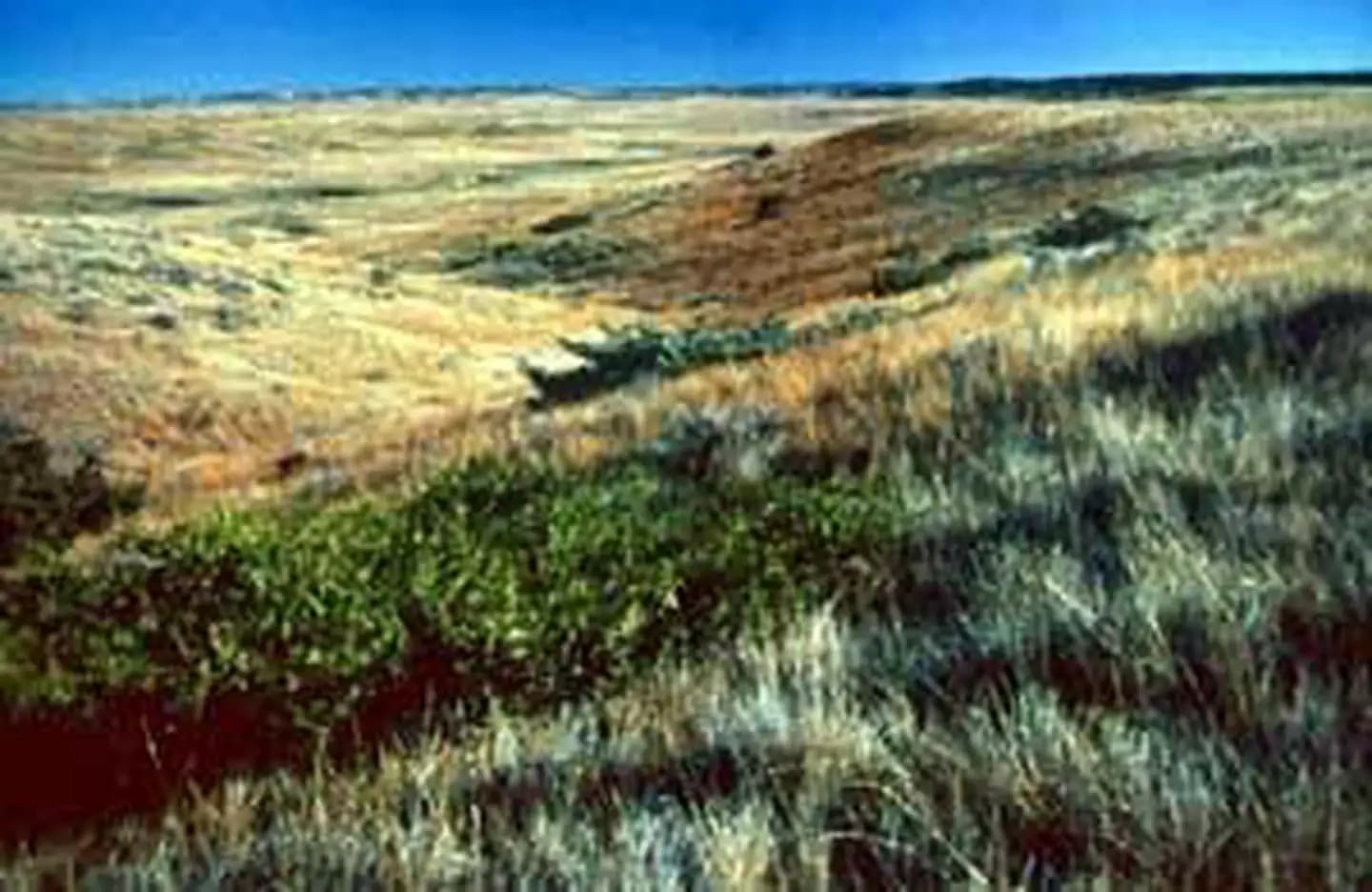 UL Bend Wilderness