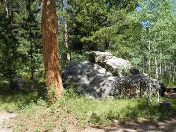 OLIVE RIDGE