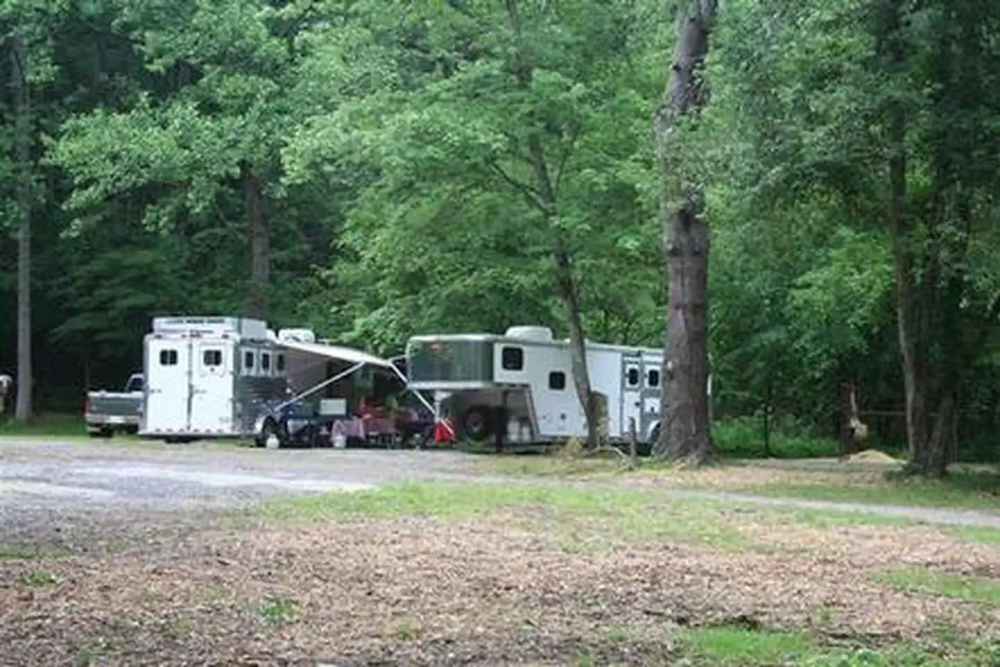 CATALOOCHEE HORSE CAMP