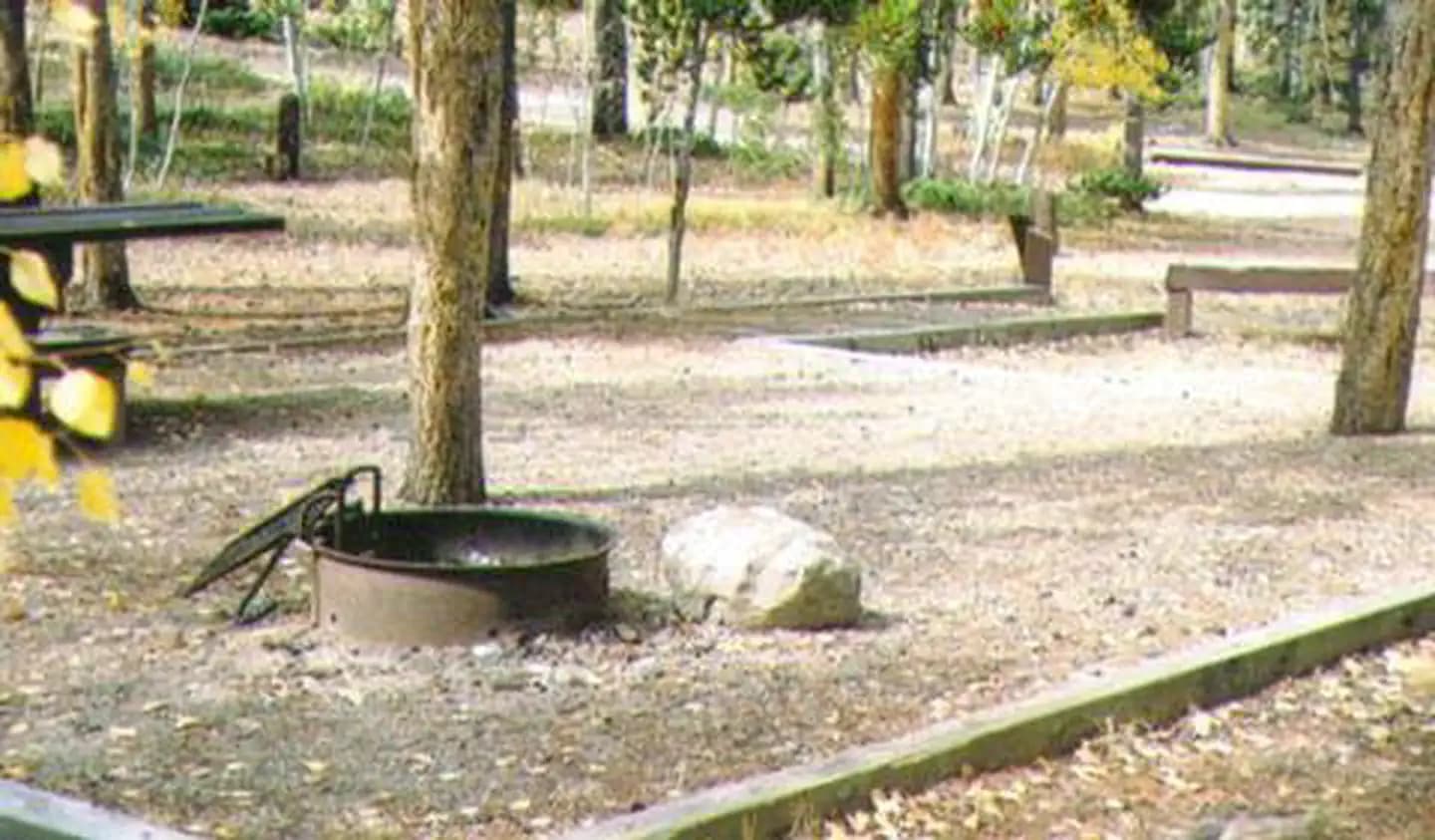 KENOSHA PASS CAMPGROUND