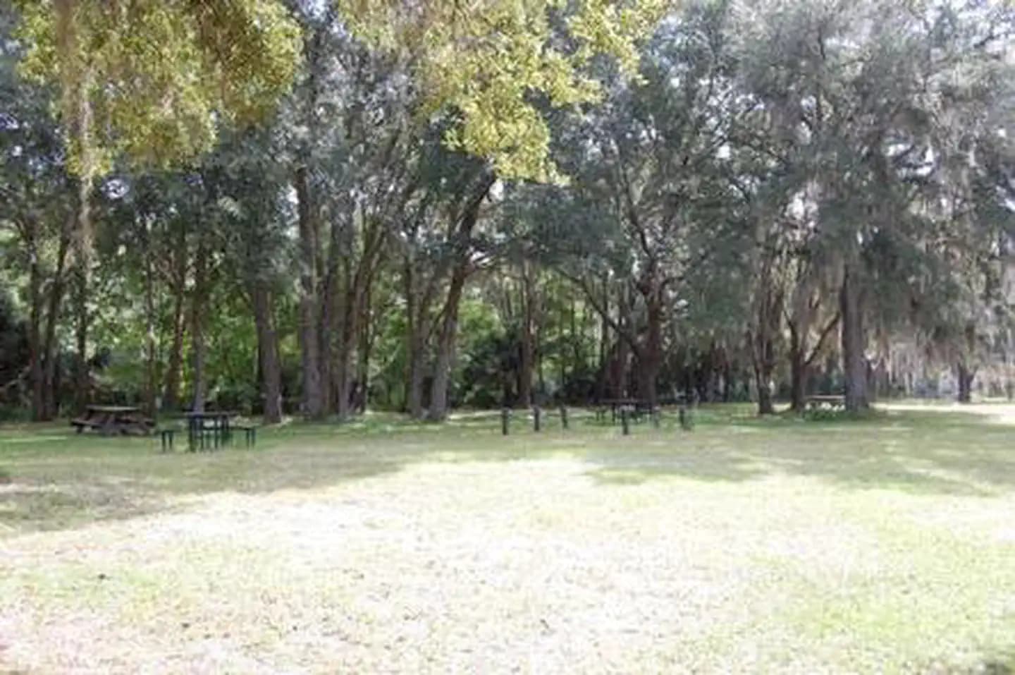 RIVER FOREST GROUP SITE
