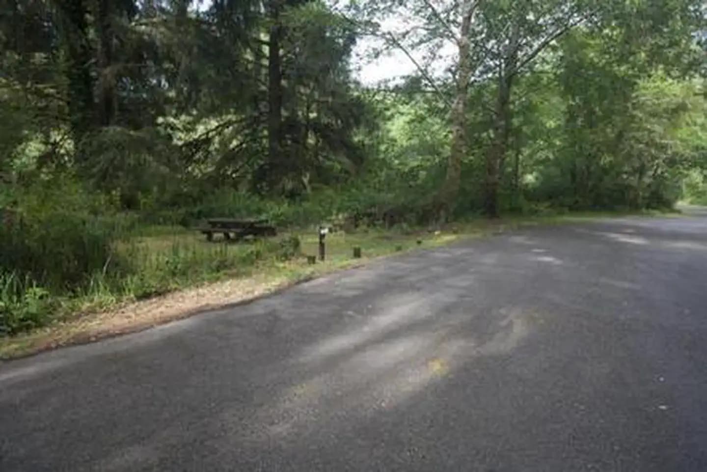 Tyee Campground - Oregon Dunes