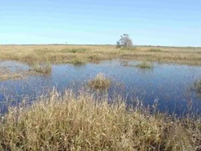 Lacassine Wilderness