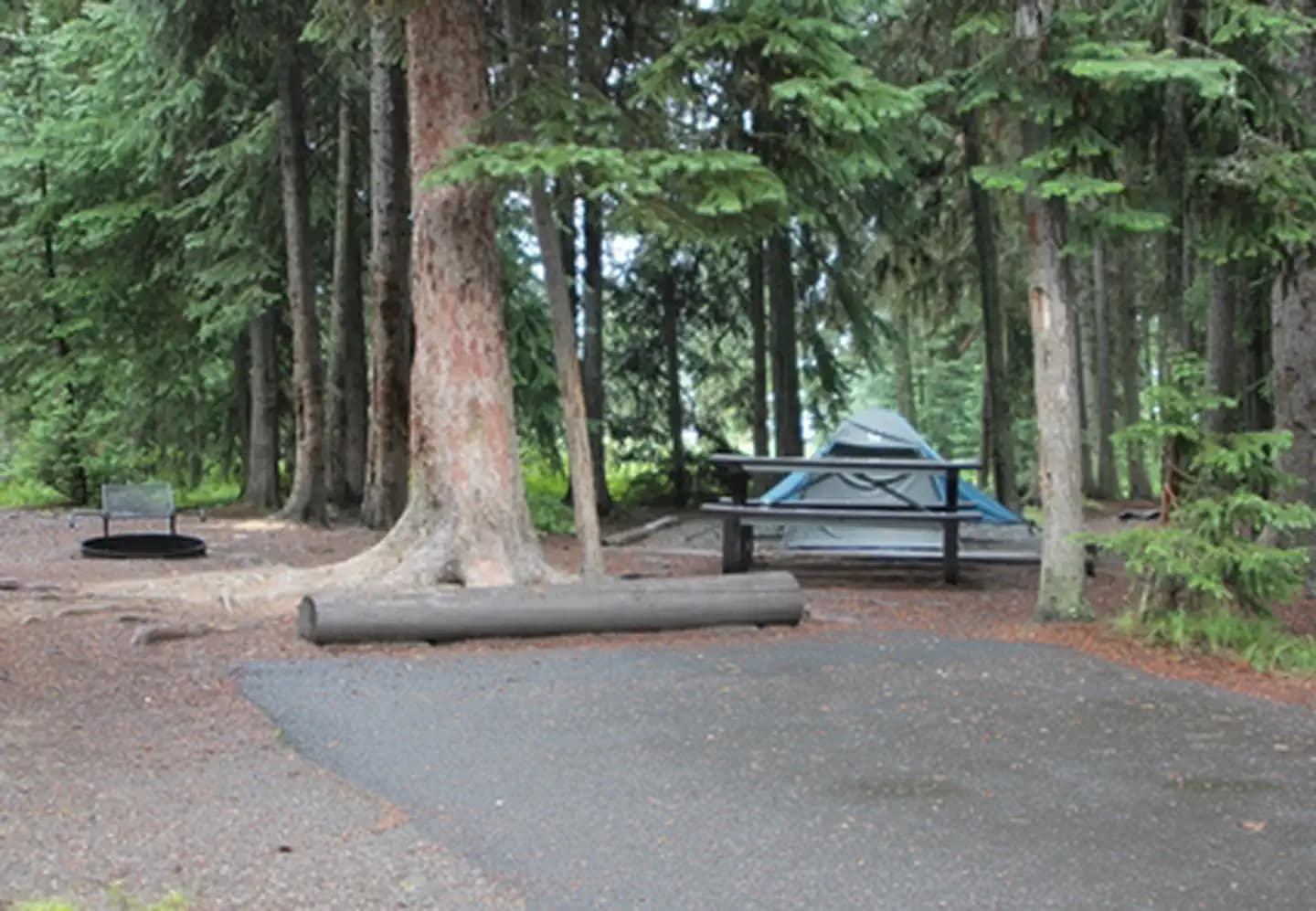 Bridge Bay Campground