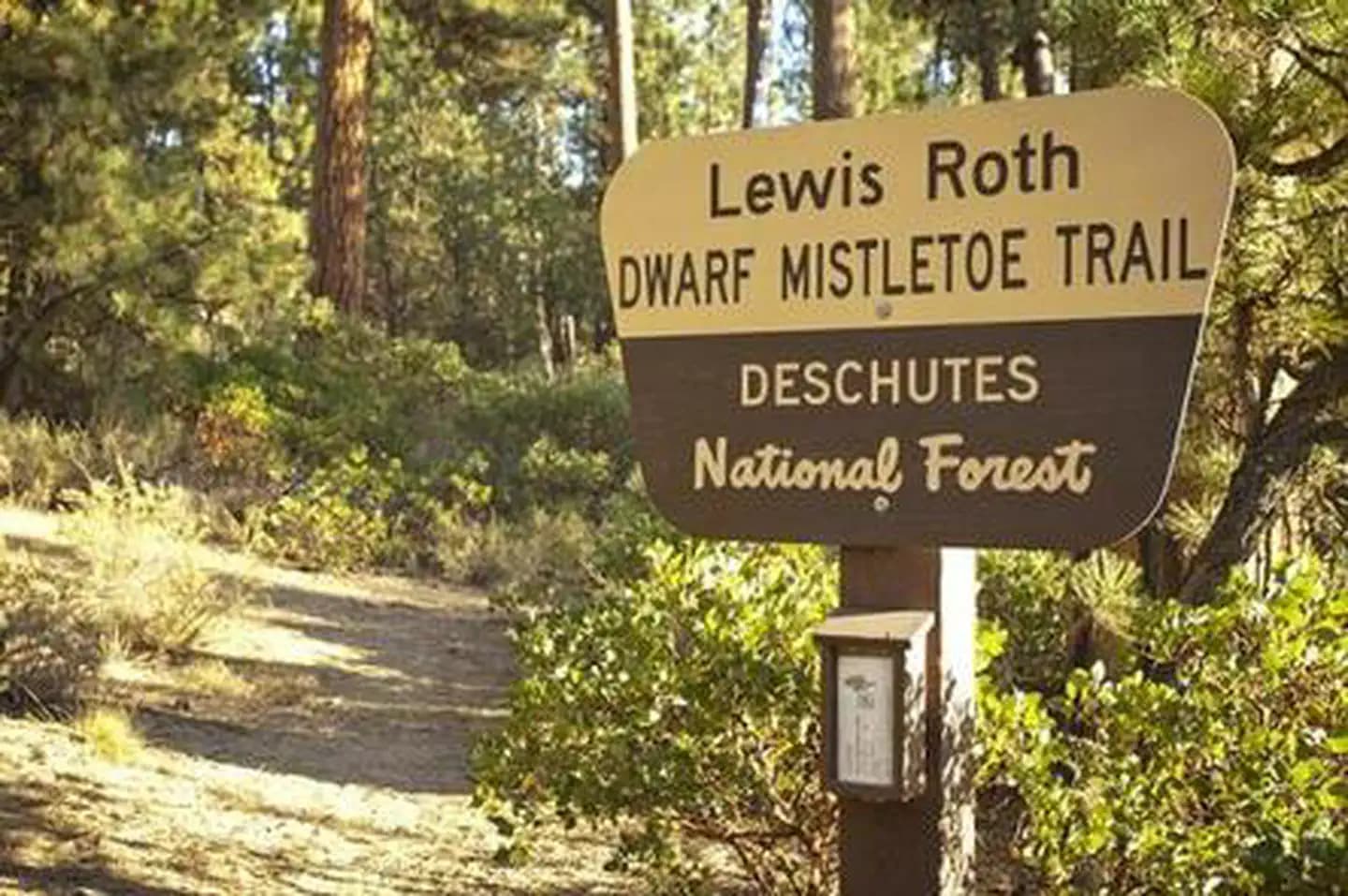 NORTH TWIN LAKE CAMPGROUND