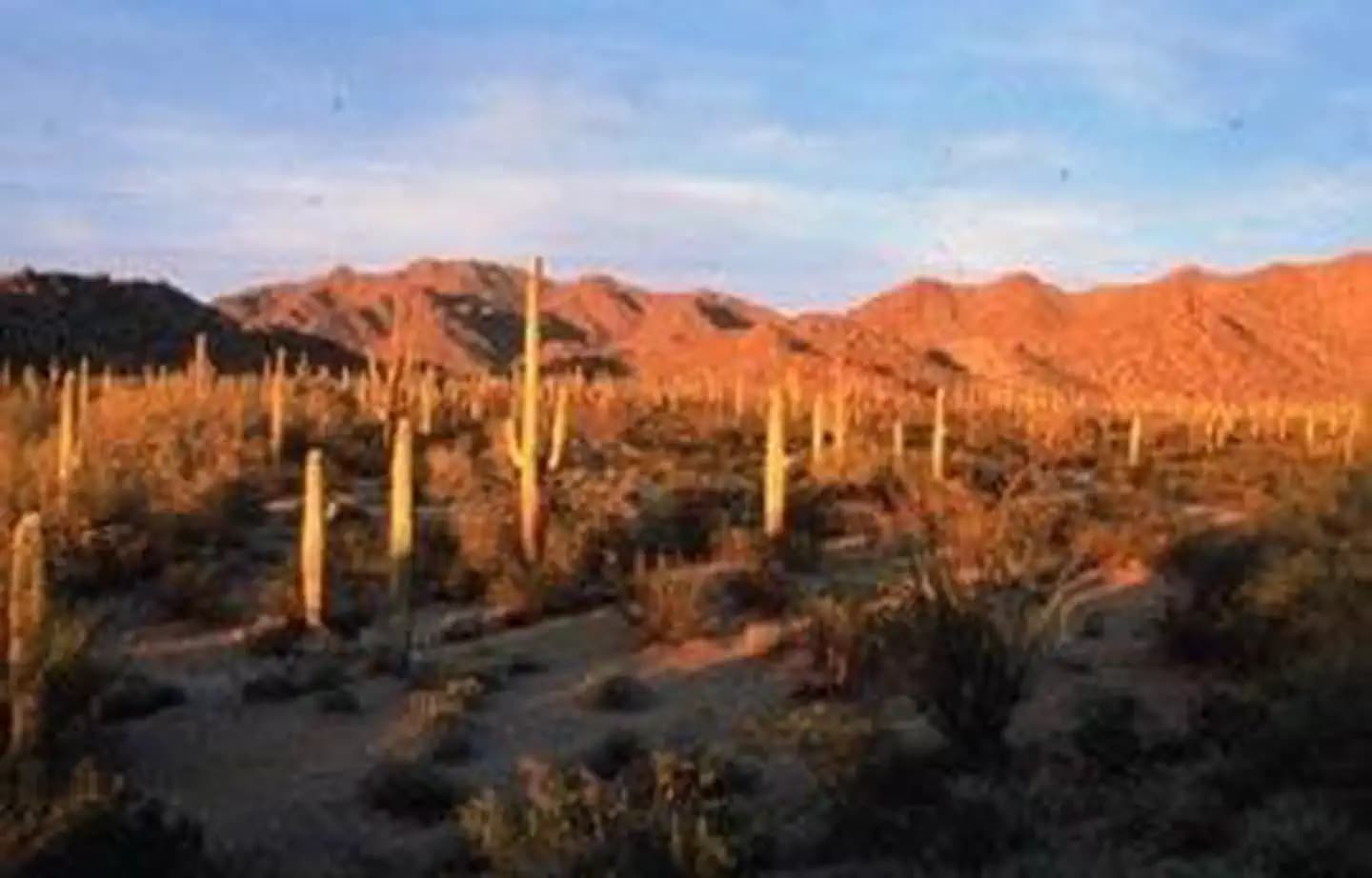 South Maricopa Mountains Wilderness Area