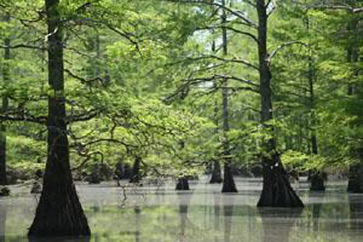 Big Lake Wilderness