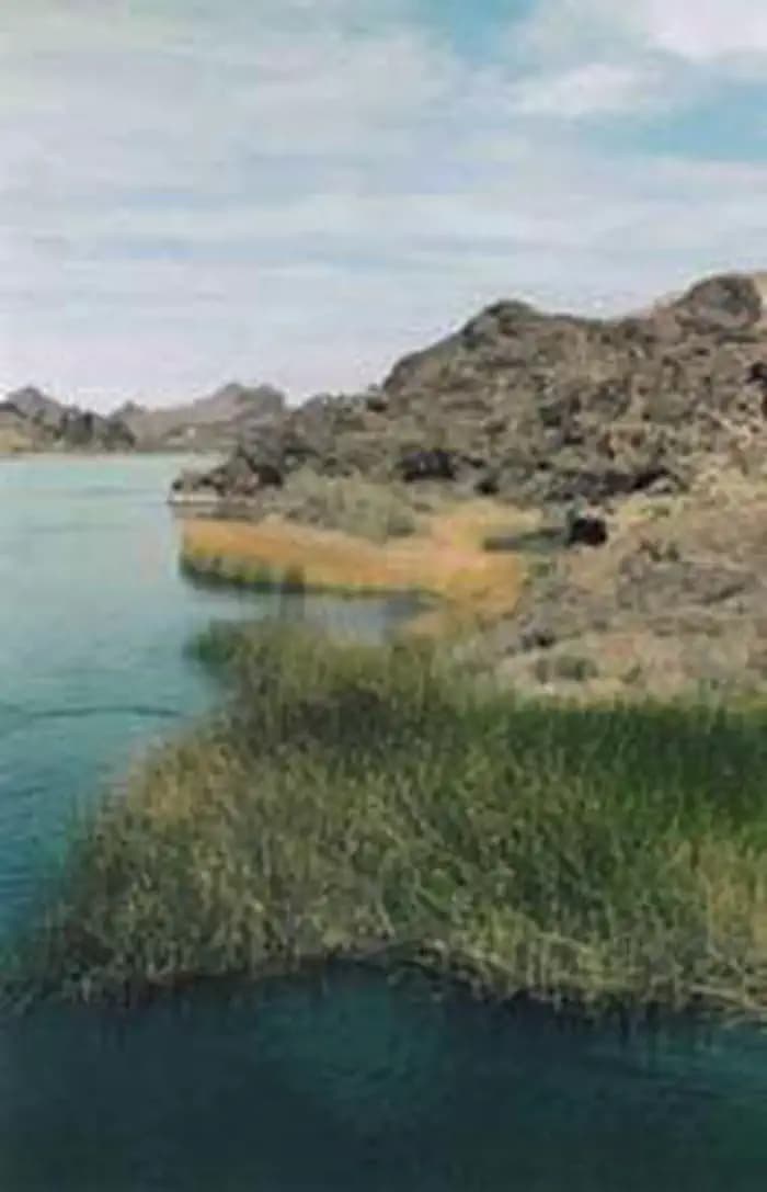 Havasu Wilderness
